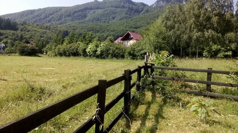 Zarnesti, Bran,