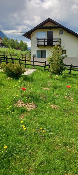 Zarnesti, Bran,