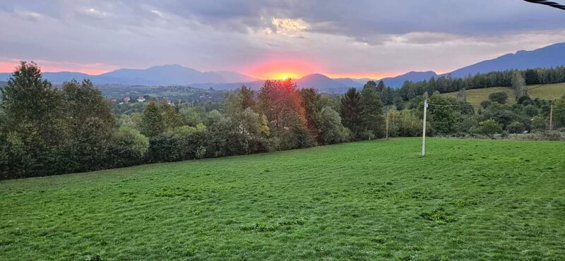 Zarnesti, Bran,