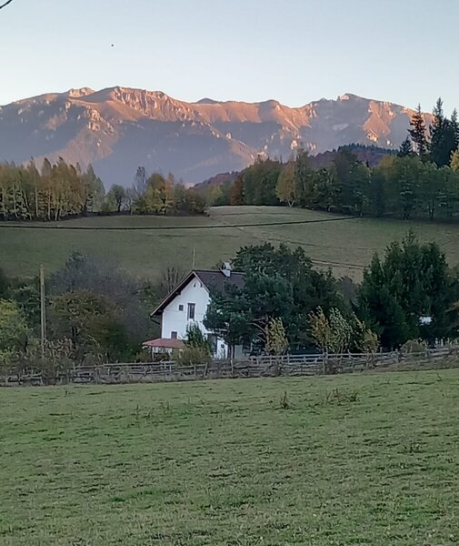 Zarnesti, Bran,