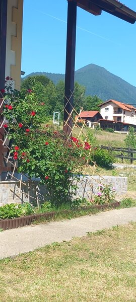 Zarnesti, Bran,