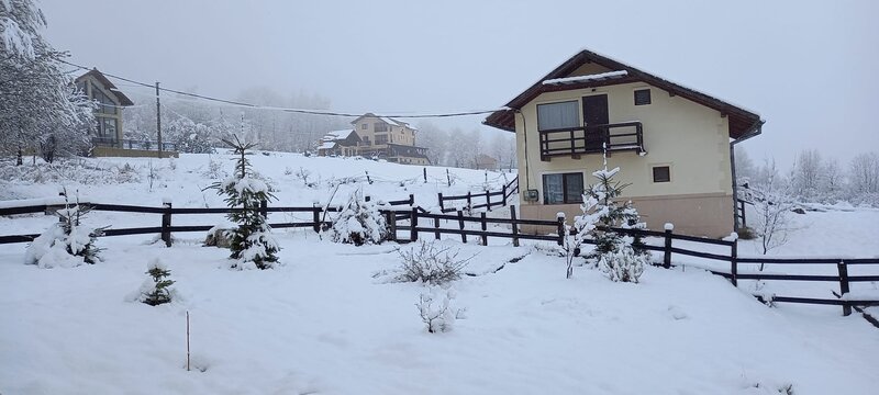Zarnesti, Bran,
